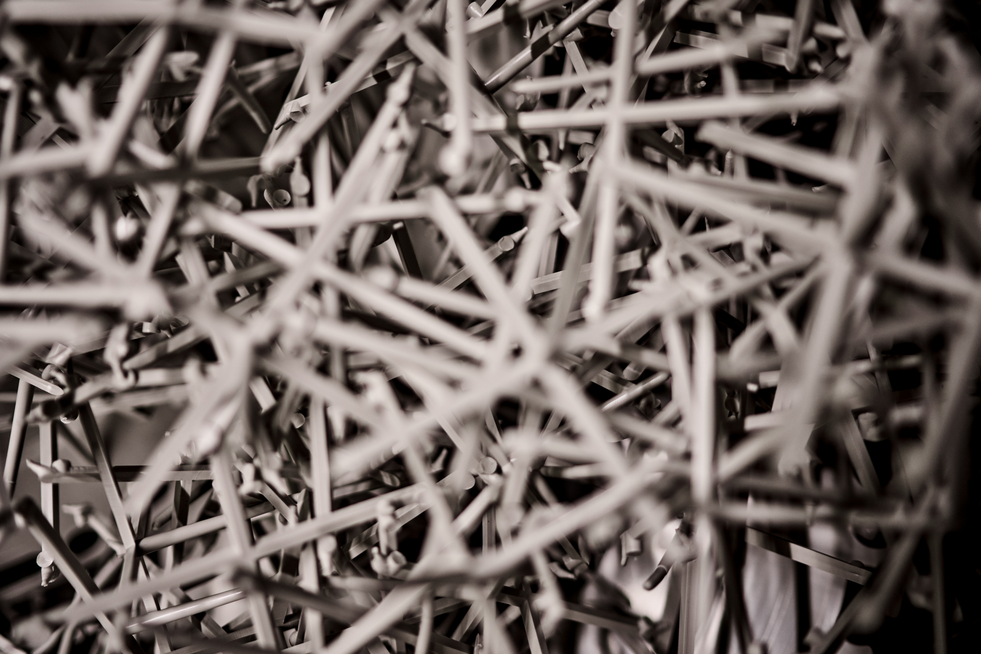 DB_DAL_Reportage_231107_0452_INET